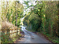 Lane approaching Norton