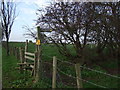 Footpath to Little Poulton Lane