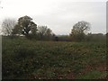 Site of Landgate Barn