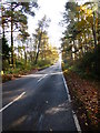 Looking along Coronation Road