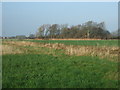 Farmland towards Heys Meadow Wood