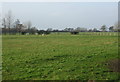 Farmland west of Hools Lane