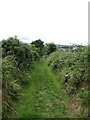 Green lane descending towards Hilltown