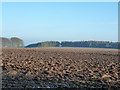 SU2957 : Ploughed field east of Chute Causeway by Robin Webster