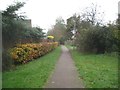 TL2612 : Welwyn Garden City: Cycleway in Panshanger (2) by Nigel Cox