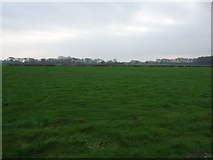 SD4148 : Grazing near Lane Ends Farm by JThomas