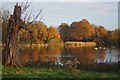 Autumn by Shoulder of Mutton Pond