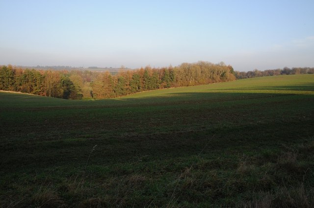 Farmland above Dartley Farm