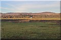 Flood plain of Endrick Water