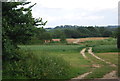 Track into farmland