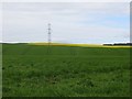 Arable land, Broombrae