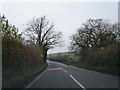 A528 northbound near Colemere Woods Farm