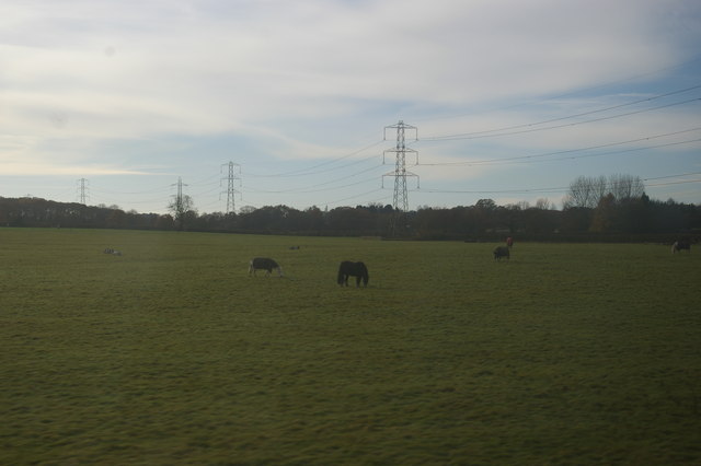 Field and pylon line west of Codsall