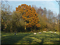 SU9360 : Meadows off Priest Lane by Alan Hunt