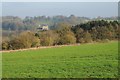 View to Cotswold Park