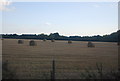 Bales in a field