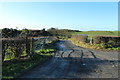 Road into Hallowshean Farm