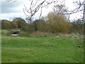 Field beside the River Culm at Stoke Canon