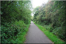 SE3156 : Cycle Route 67 by N Chadwick