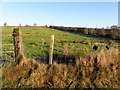 Cloghfin Townland