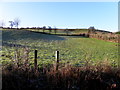 A frosty hill, Ballynahaye