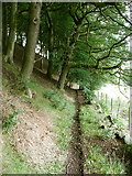 SE0026 : Hebden Royd FP17 along the edge of Burlees Wood by Humphrey Bolton