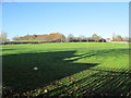 Cathedral Academy Playing Fields - viewed from Thornes Moor Road