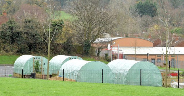 Knocknagoney Community Garden, Belfast (December 2014)
