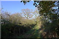 Bridleway off Oakham Road, Ashwell