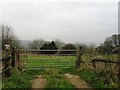 Field south of Tinkley Farm