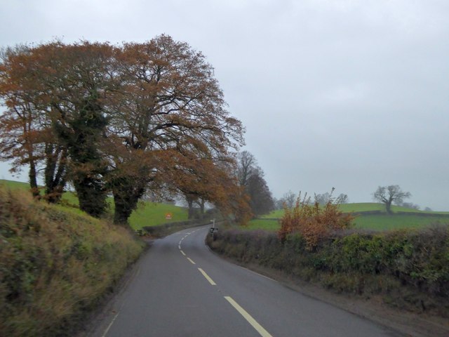 Trees overhanging the A528 near Kenwick