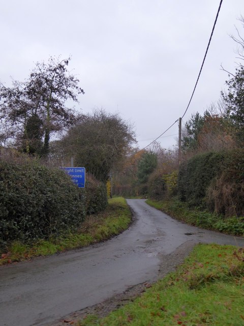 Minor road north of Colemere