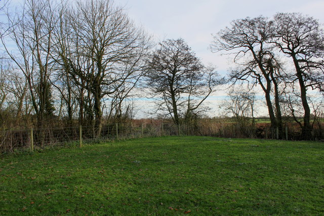 Field Corner near Norton-le-Clay