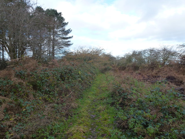 Path next to Gravelpit Wood, West Raynham