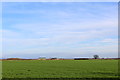 View towards Broom Close House