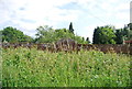 Wall, Penshurst Park