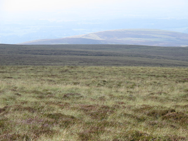 The western slopes of Cold Fell