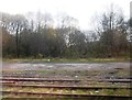 Sidings west of the Totley Tunnel