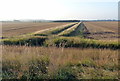 TF6329 : Drain and farmland near Wolferton Bank by Mat Fascione