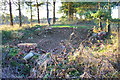 Demolished yard building beside A361