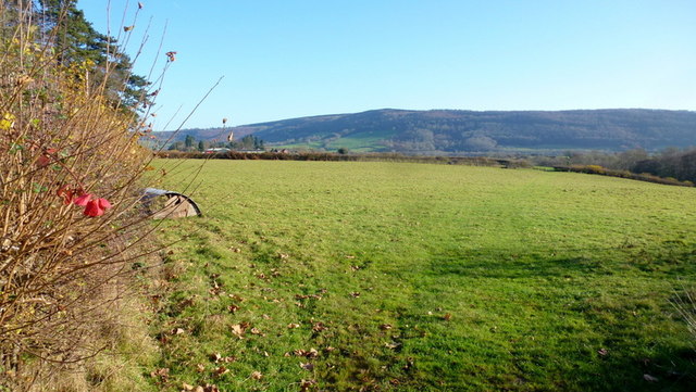 Pasture land west of Tredunnock