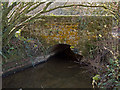 The view of Tittywater Bridge from down stream on Mully Brook