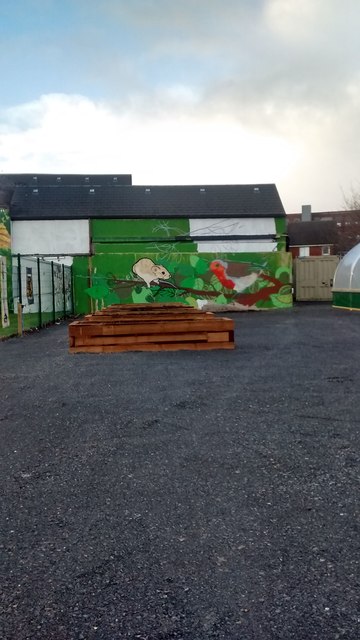 New mural at East Belfast community Garden