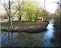 SK6464 : Wetlands, Rufford Abbey Country Park, Notts. by David Hallam-Jones