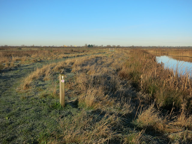 Path by the canal, Ouse Fen