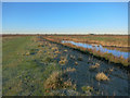 TL3772 : Path by the canal, Ouse Fen by Hugh Venables