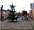 Christmas tree outside The Council House, Old Cwmbran