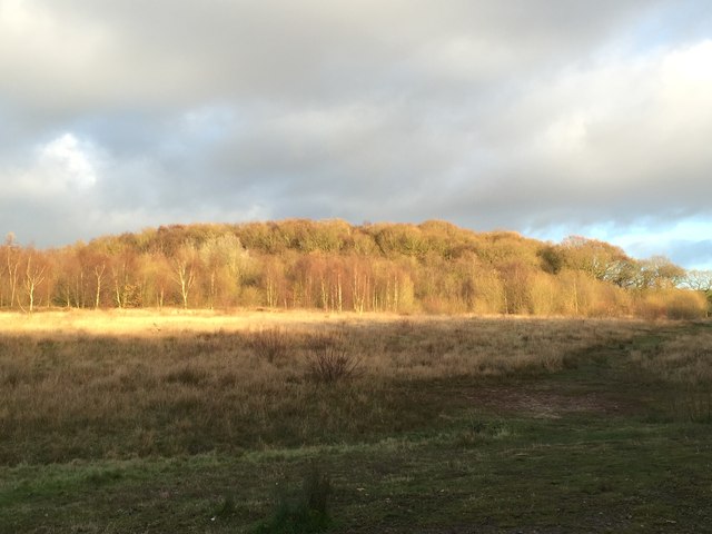Podmore Wood from the main track at Bateswood