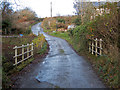 A bridge over Mully Brook near Riddlecombe