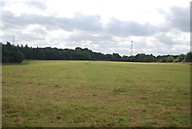 SE3058 : Large field by N Chadwick